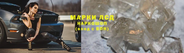 трава Новокубанск