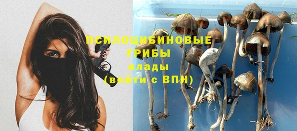 трава Новокубанск