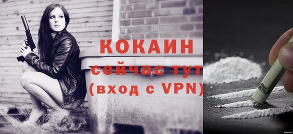 гашик Болохово