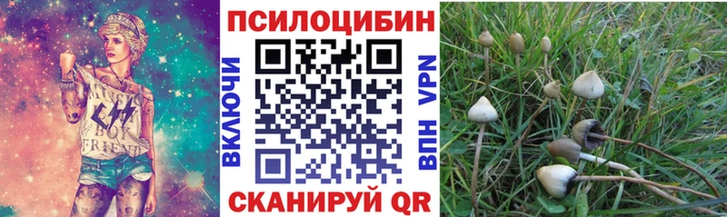 Галлюциногенные грибы GOLDEN TEACHER Суздаль