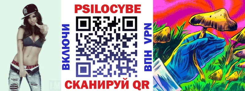 гидра ONION  купить наркоту  Суздаль  Псилоцибиновые грибы Cubensis 